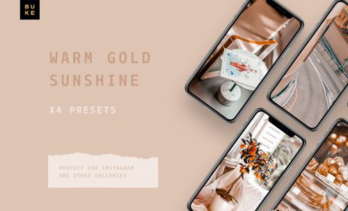 LR1905 CreativeMarket - 4 Golden Mobile Desktop ACR 4054537 B