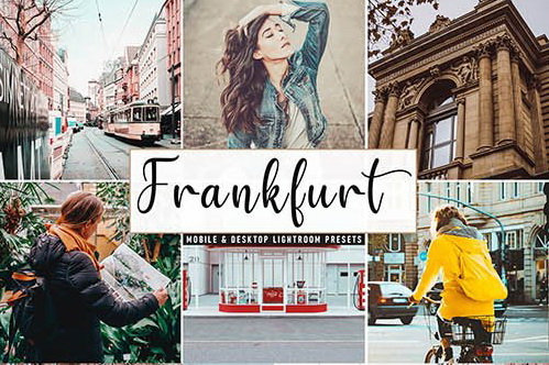 LR1914 CreativeMarket - Frankfurt Pro Mobile Desktop ACR ATN PSD 4508496 A