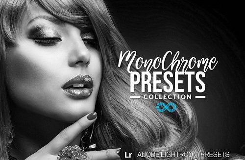 LR1959 Photonify - Monochrome Collection Presets A