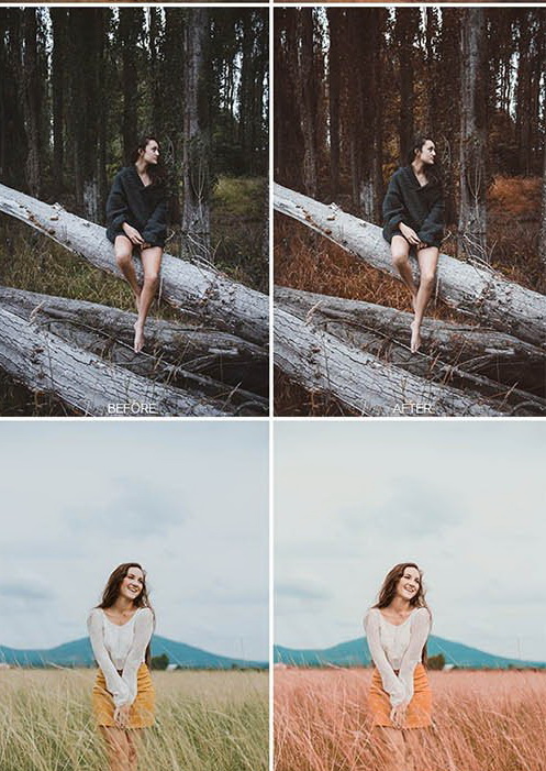 LR1975 GraphicRiver - Orange Presets Mobile Desktop ACR 25602813