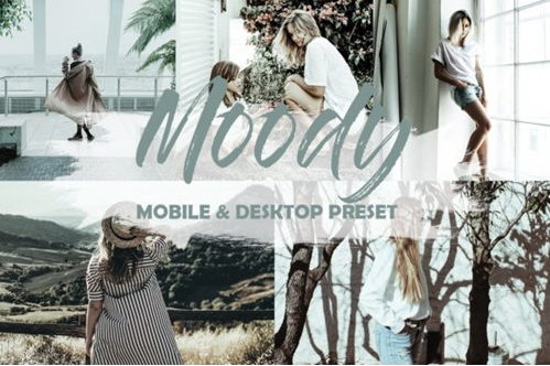 LR2012 Moody Mobile ACR Presets 2769263 A