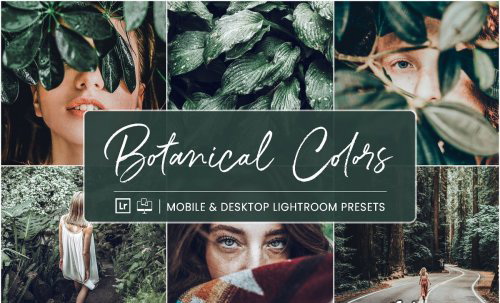 LR2097 CreativeMarket - NesPresets Botanical Colors Mobloe Desktop ACR 4410278 A