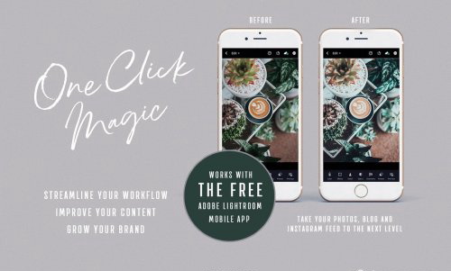 LR2097 CreativeMarket - NesPresets Botanical Colors Mobloe Desktop ACR 4410278 B