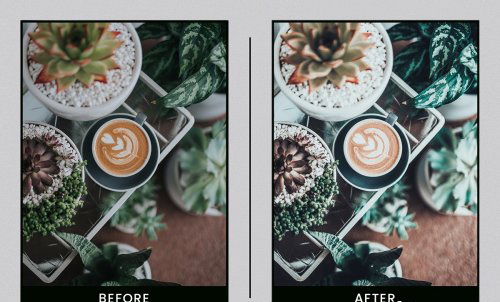 LR2097 CreativeMarket - NesPresets Botanical Colors Mobloe Desktop ACR 4410278 D