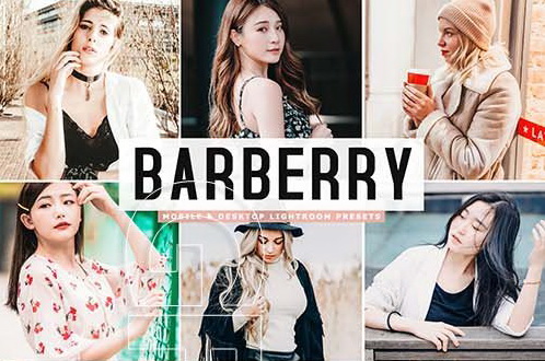 LR2214 CreativeMarket - Barberry Mobile Desltop ACR ATN PSD 4607178 a