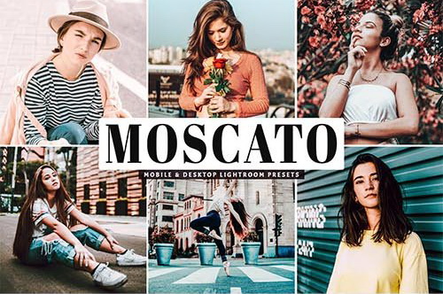 LR2218 Moscato Mobile Desktop ACR ATN PSD a