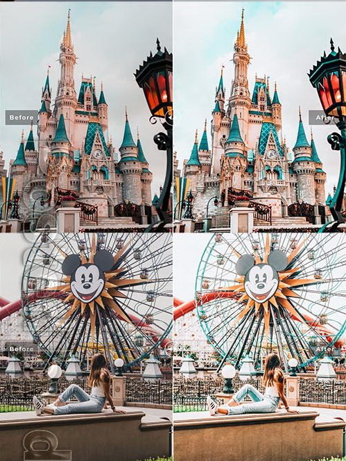 LR2224 Disneyland Mobile Desktop ACR ATN PSD b