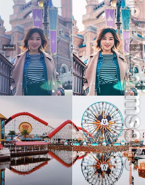 LR2224 Disneyland Mobile Desktop ACR ATN PSD c