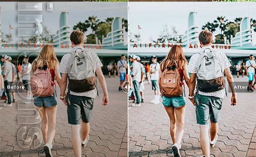 LR2224 Disneyland Mobile Desktop ACR ATN PSD