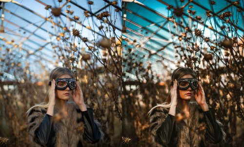 LR2239 CreativeMarket - Preset Bunker 10 Buckingham Mobile ACR 3810886 B