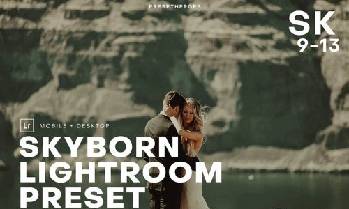 LR2260 CreativeMarket - Skyborn High Quality Premium Lightro 4552315 Mobile Desktop CaptureOne A