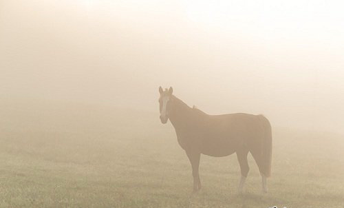 LR2267 Mikko Lagerstedt - Fine Art - Fog Atmosphere Presets D
