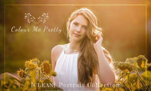 LR2269 CreativeMarket - CLEAN Presets Mobile Desktop 4535483 A