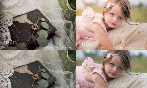 LR2269 CreativeMarket - CLEAN Presets Mobile Desktop 4535483 B