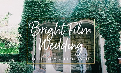 LR2288 Bright Film Wedding Presets DeSktop ACR A