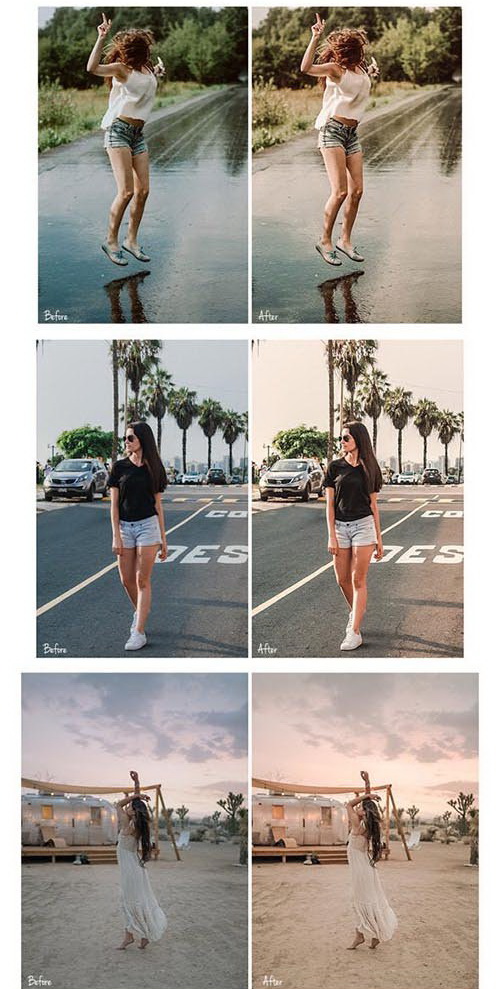 LR2315 CreativeMarket - Daisy Presets Mobile Desktop ACR 3429286 C