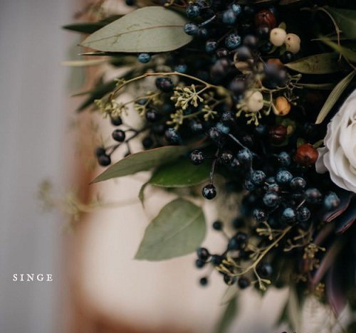 LR2322 Twig & Olive Photography - Noor Film Presets D