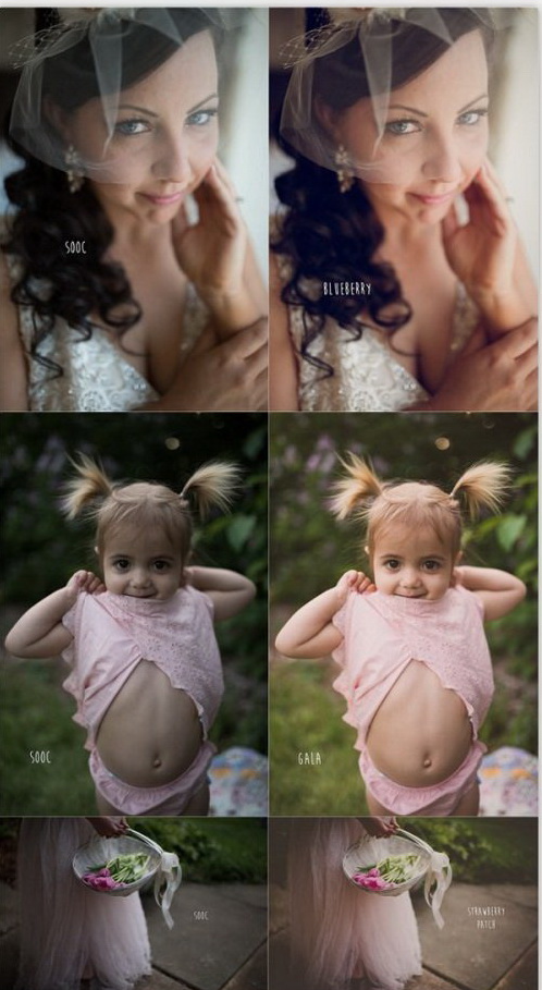 LR2323 Twig & Olive Photography - Sweet Light Presets B