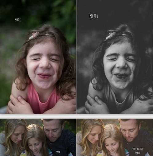 LR2323 Twig & Olive Photography - Sweet Light Presets