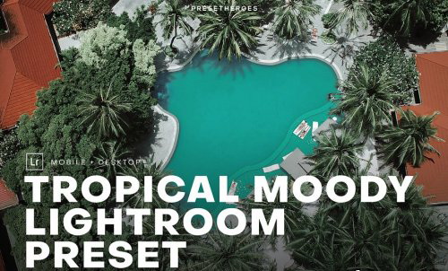 LR2385 CreativeMarket - Tropical Moody Preset Mobile Desktop 4552639 A