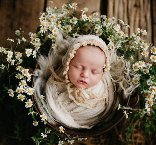 LR2435 Twig & Olive Photography - Floral Matte Destop ACR A