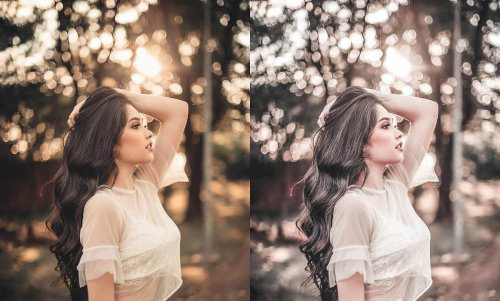 LR2436 CreativeMarket - Preset Bunker 10 Gold Pack Mobile ACR 4558129 B