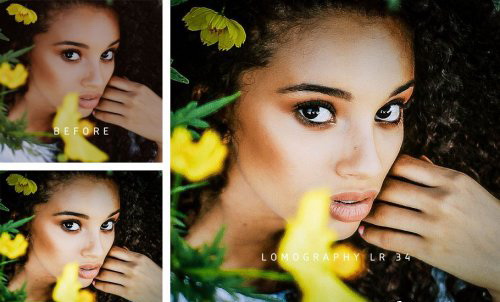 LR2450 CreativeMarket - Lomography Presets 2573783 D