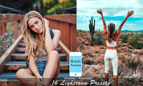 LR2455 CreativeMarket - 16 Blogger Presets Mobile 4532450 A