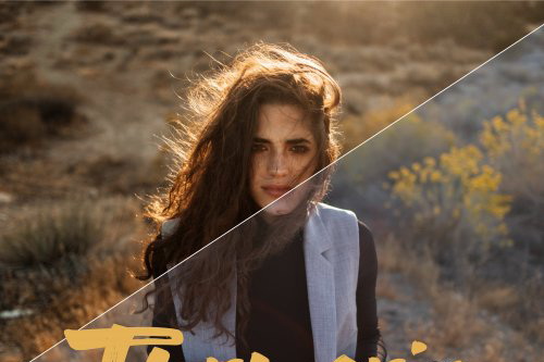 LR2477 CreativeMarket - Turmeric Preset Mobile ACR 4633952 B