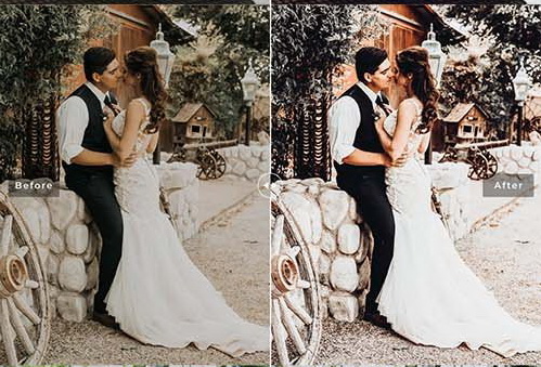 LR2511 Rustic Wedding Mobile Desktop ACR ATN PSD