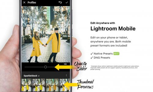 LR2538 CreativeMarket - 50 Teal & Yellow Mobile ACR LUTs 4747346 D