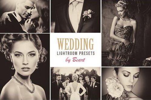 LR2587 GR 50 Premium Wedding Presets 11494445 B
