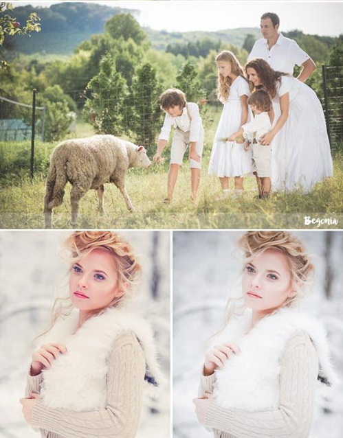 LR2587 GR 50 Premium Wedding Presets 11494445 C