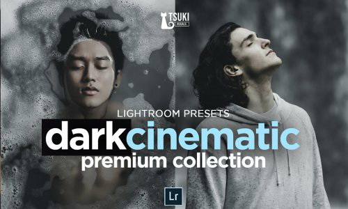 LR2621 CreativeMarket - DARK CINEMATIC PRESETS Mobile Desktop 4623271 A
