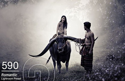 LR2644 590 Romantic Lightroom Presets