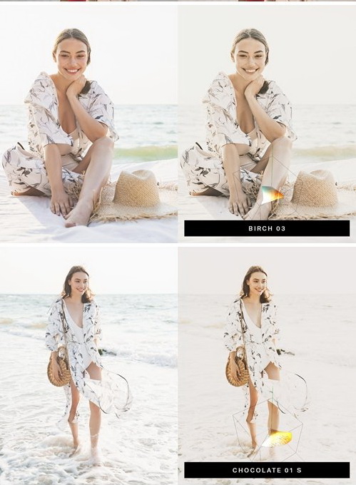 LR2650 CM - 50 Coconut Tones Mobile ACR LUTs 4517974 C