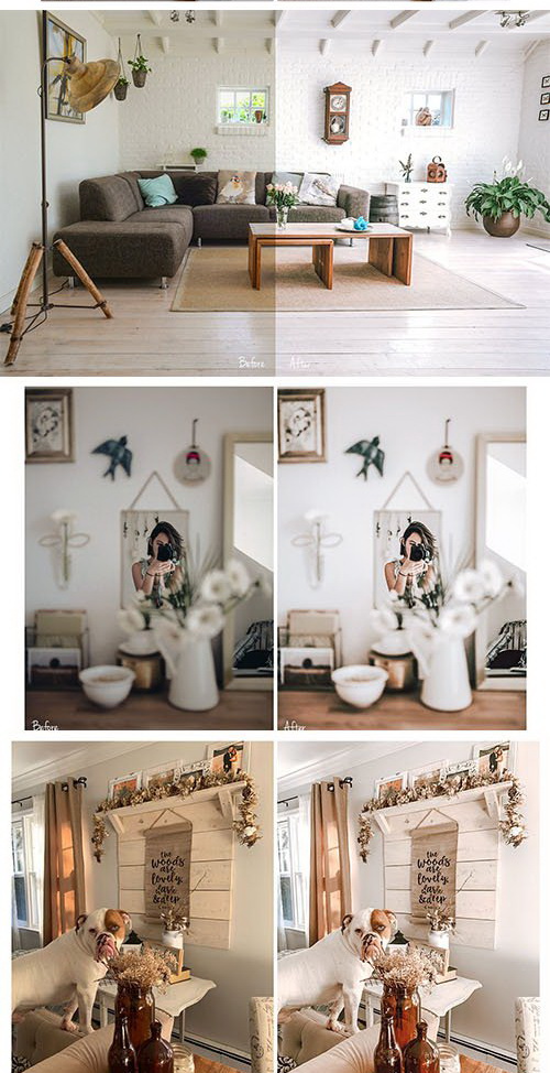 LR2661 CreativeMarket - Bright and Airy Indoor Mobile Desktop ACR 3719578 B