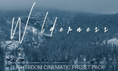 LR2688 CreativeMarket - Dan Lior WILDRENESS Cinematic Pack ACR 4570533 a