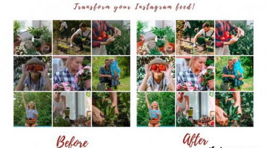 LR2710 CreativeMarket - GREEN Presets ACR 4820797 B