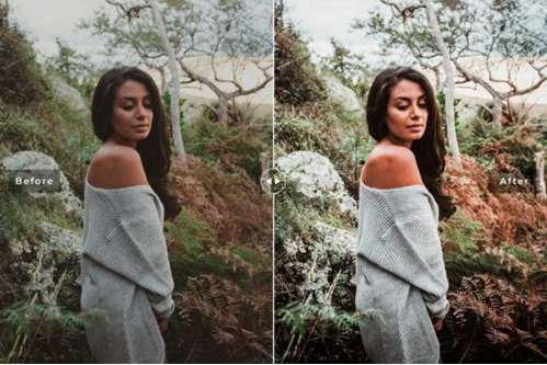 LR2715 Tekapo Pro Presets Mobie Desktop ACR ATN PSD 3885981