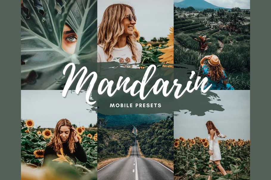 LR2742 CreativeMarket - MANDARIN Mobile 3116056 A