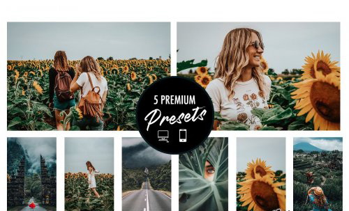 LR2742 CreativeMarket - MANDARIN Mobile 3116056 B