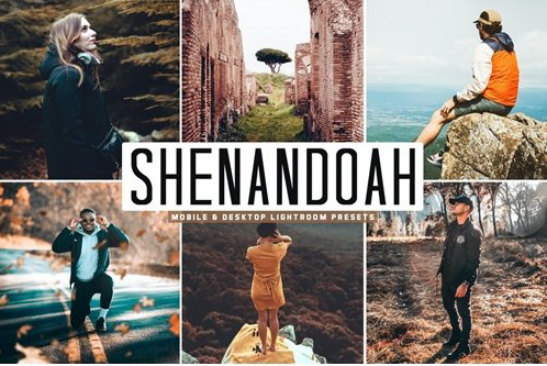 LR2748 Shenandoah Mobile Desktop ACR ATN PSD A