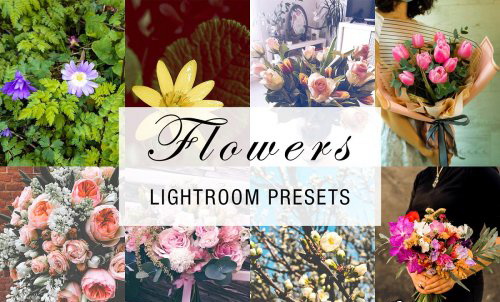 LR2763 CreativeMarket - 24 Flowers Presets Mobile ACR 4784961 A