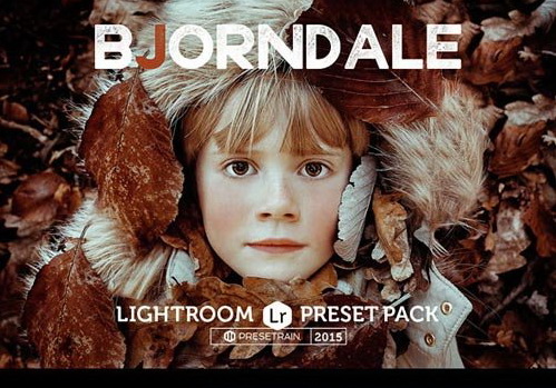 LR2779 GraphicRiver - Bjorndale Preset Pack 14561024 A