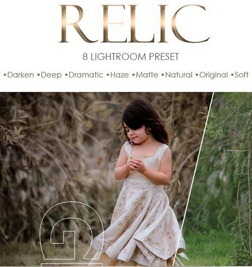 LR2782 GraphicRiver - Relic Preset 21156127 A