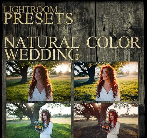LR2791 Dmitry Rogozhkin - Natural Color Wedding COMPLETE A