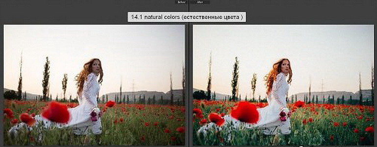 LR2791 Dmitry Rogozhkin - Natural Color Wedding COMPLETE B