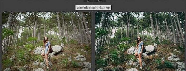 LR2791 Dmitry Rogozhkin - Natural Color Wedding COMPLETE D