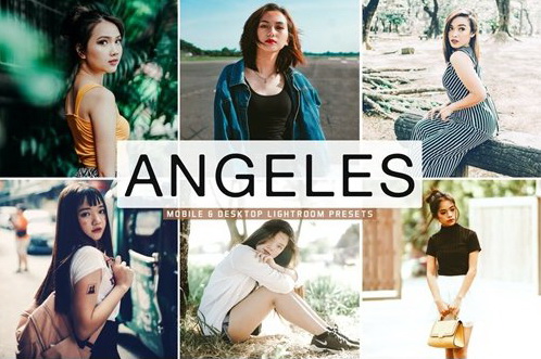 LR2792 Angeles Presets Mobile Desktop ACR ATN PSD a
